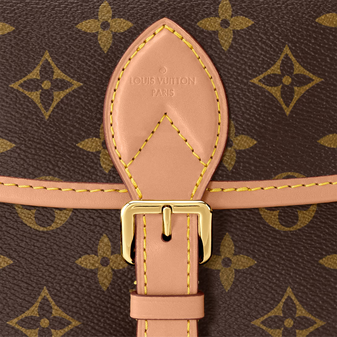 LV Diane Satchel Bag — view 3