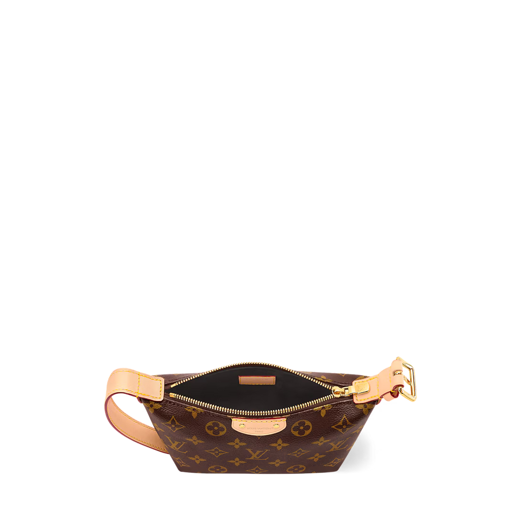 LV Classic Hills Monogram Canvas Handle Shoulder Bag with Simple Adjustable Strap — view 4