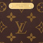 LV Liv Pochette Bag — view 4