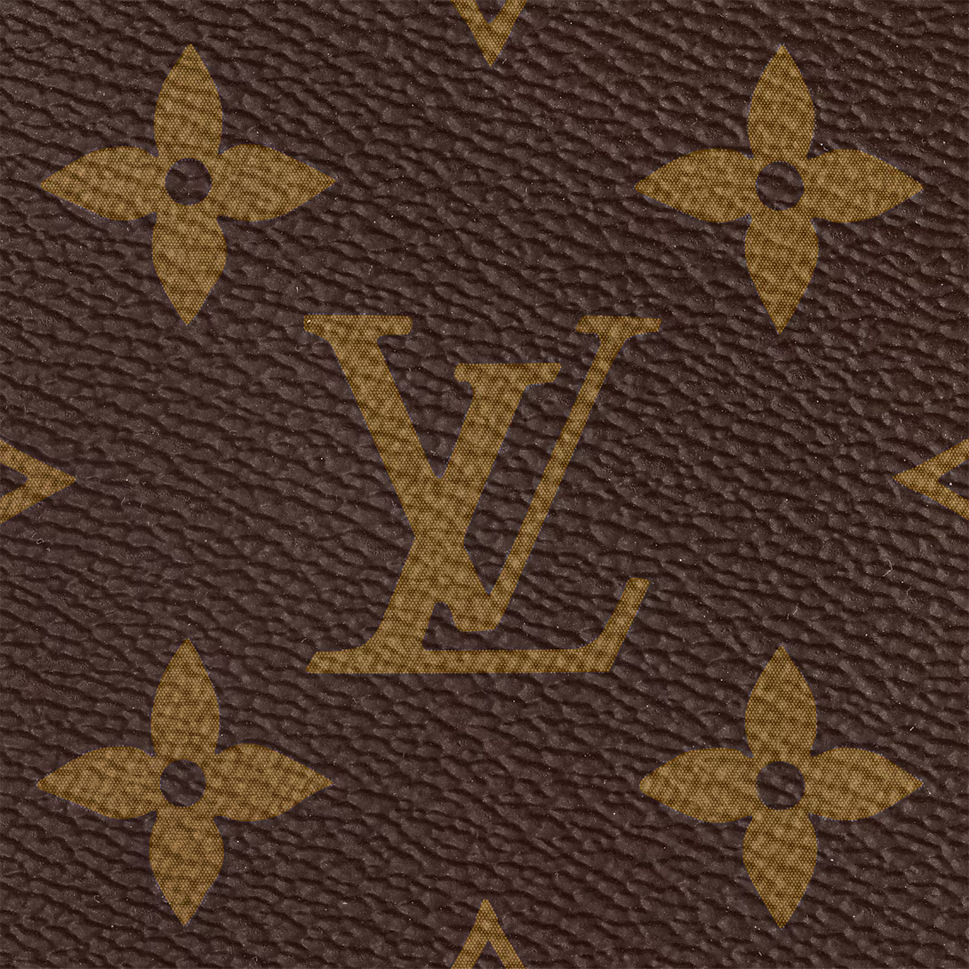 LV Multi Pochette Accessoires Bag — view 4