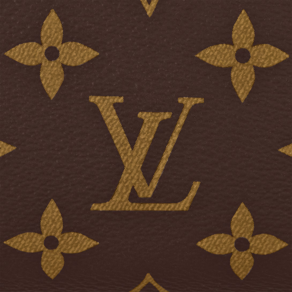 LV Speedy 20 Bag — view 5
