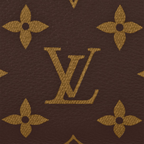 LV Speedy 20 Bag — view 5