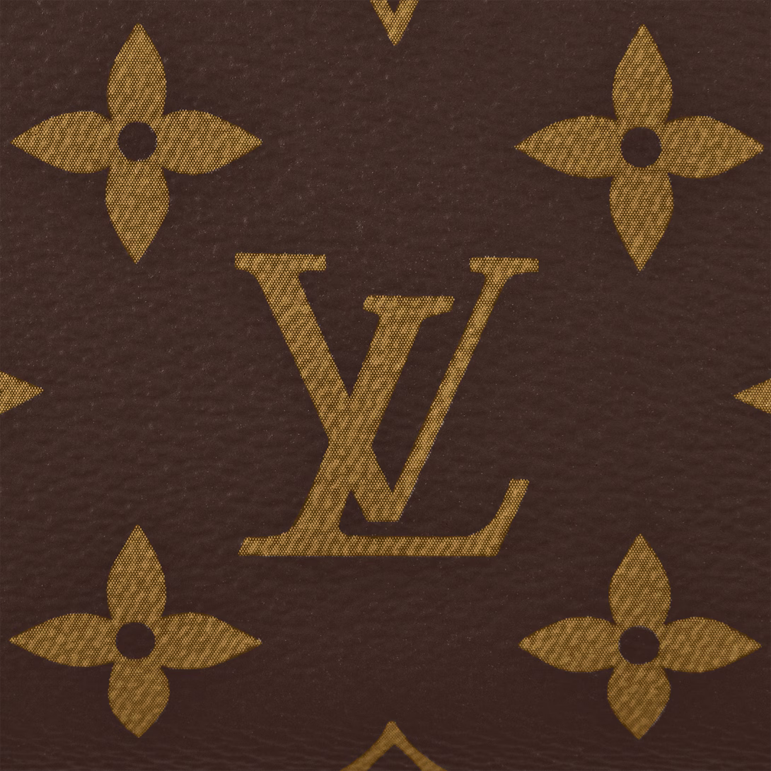 LV Speedy 20 Bag — view 5