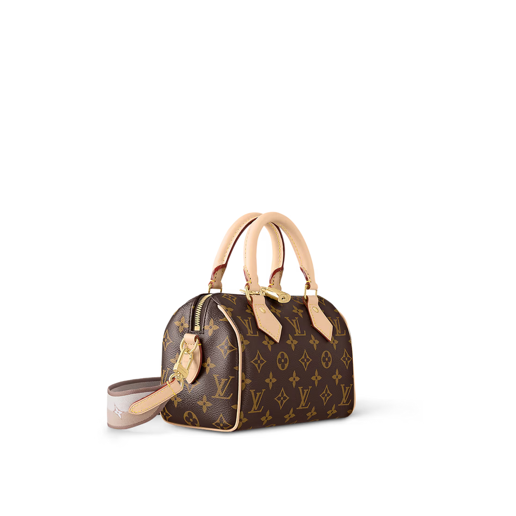 LV Speedy 20 Bag — view 1