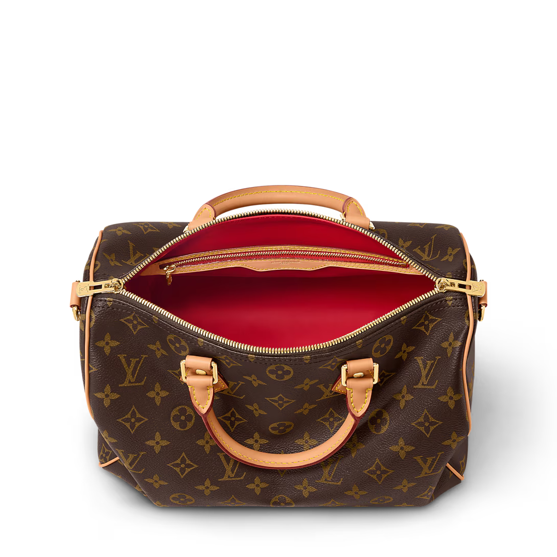 LV Speedy Soft 30 Crafty Bag — view 3