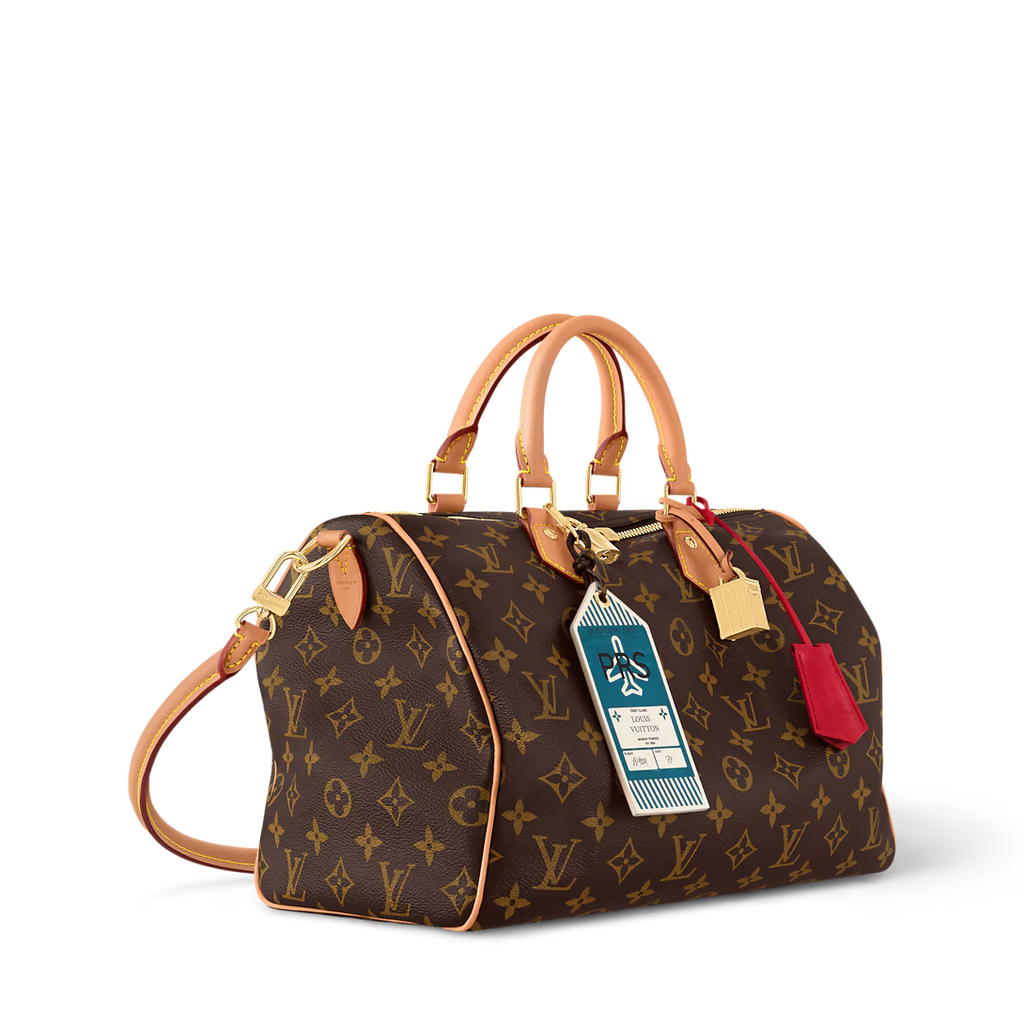 LV Speedy Soft 30 Crafty Bag — view 1