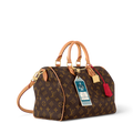 LV Speedy Soft 30 Crafty Bag — view 1