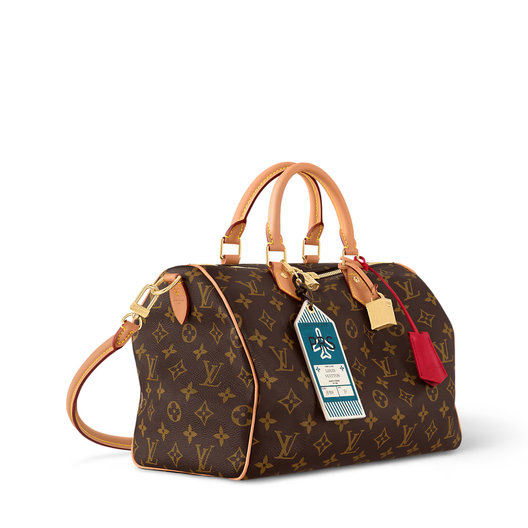 LV Speedy Soft 30 Crafty Bag — view 1