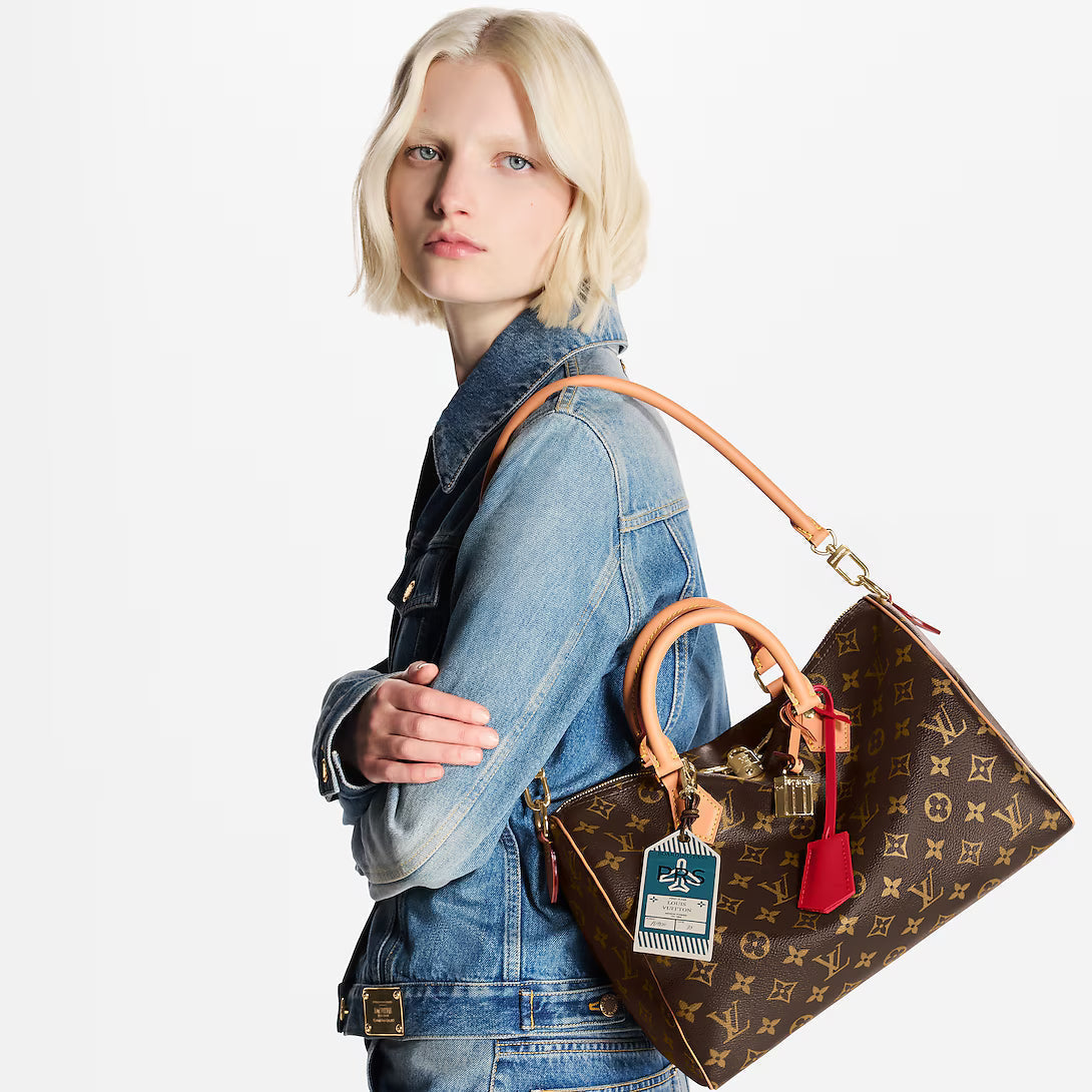 LV Speedy Soft 30 Crafty Bag — view 4