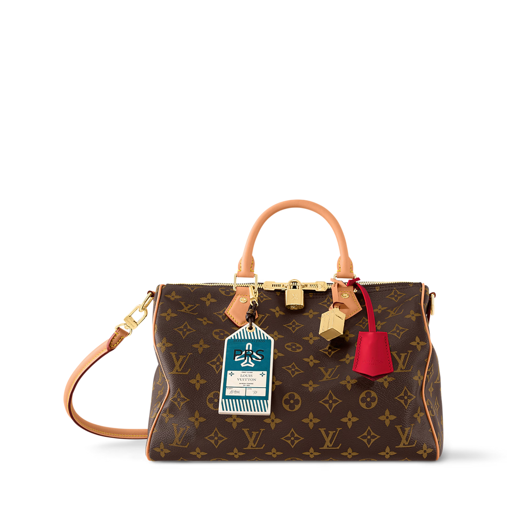 LV Speedy Soft 30 Crafty Bag — view 2