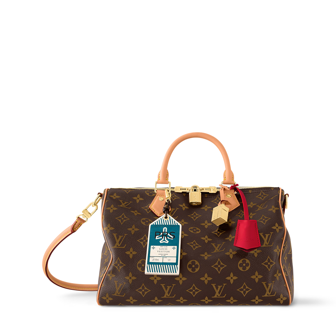 LV Speedy Soft 30 Crafty Bag — view 2